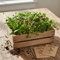 Farm Fresh Microgreens - Hero